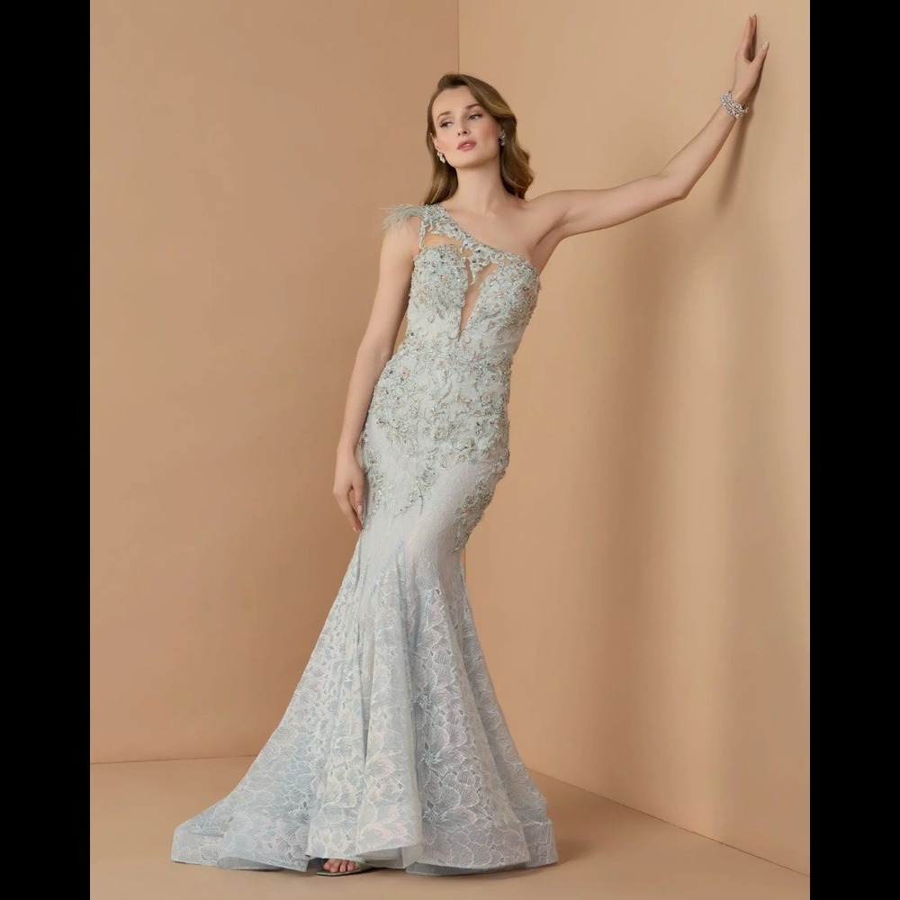 Mac Duggal Size 10 Light Blue Embroidered Feather Trumpet Long Maxi Gown Dress